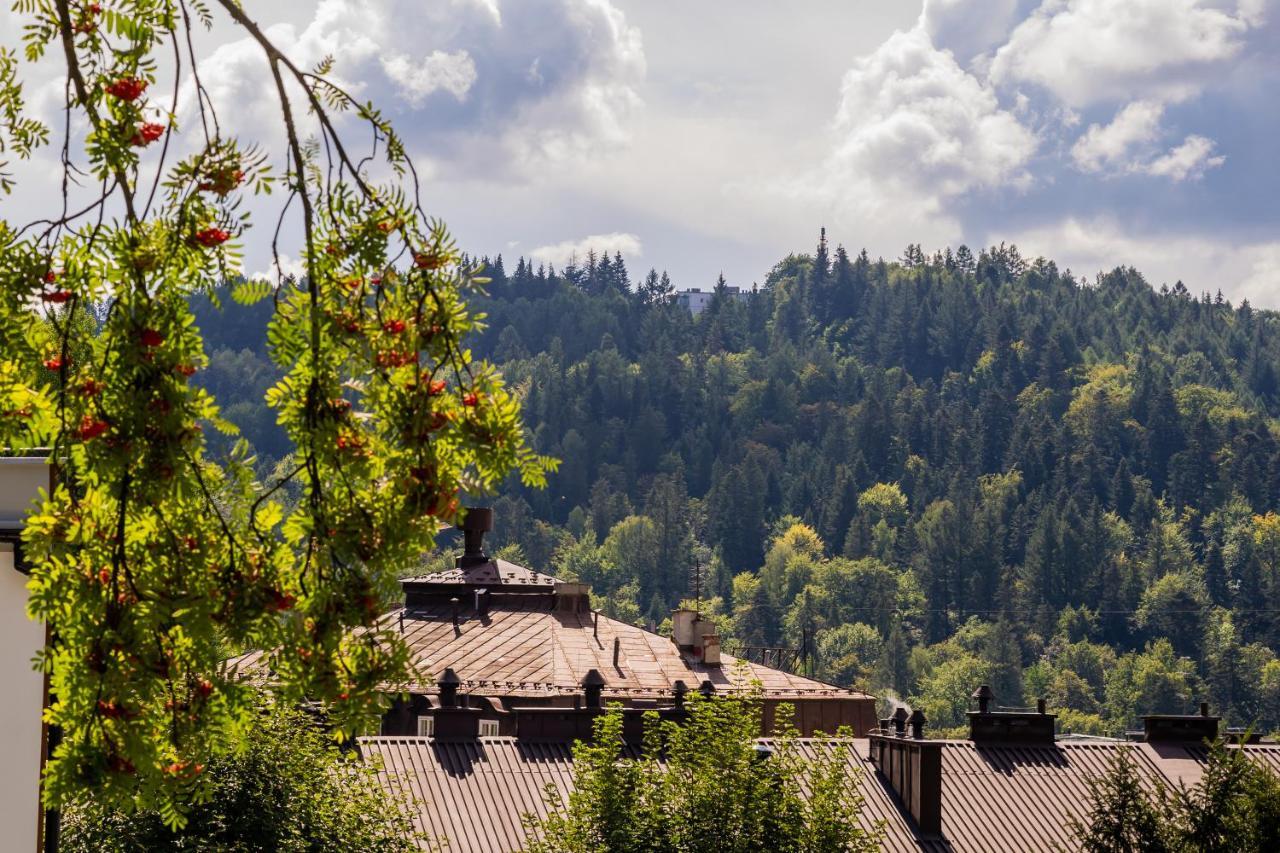 Apartamenty Lesne Zacisze Krynica Zdroj Buitenkant foto